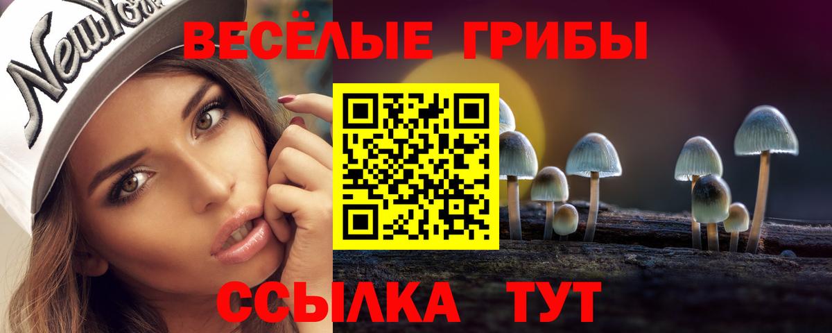 где купить наркотик  Псилоцибиновые грибы мухоморы  Вход с VPN  Ревда 