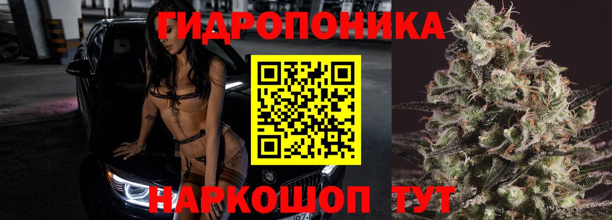 Бошки марихуана MAZAR Ревда